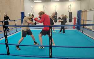 Créneau supplémentaire pour entraïnement boxe anglaise